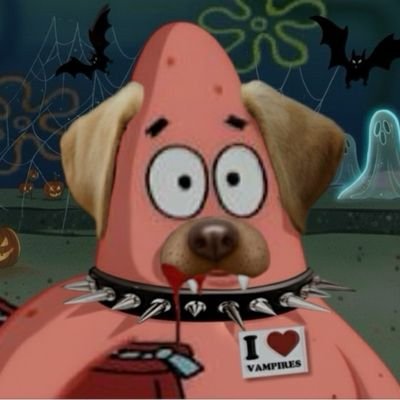 Stinkefotze's profile picture. wer sich schlagen will