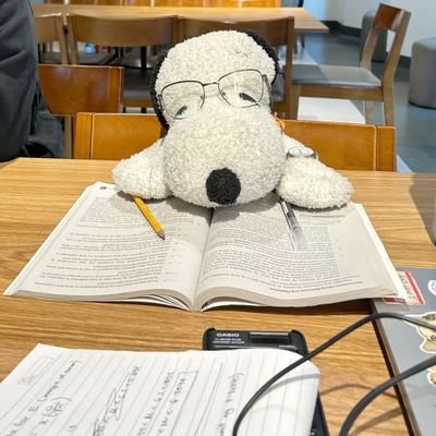 ayanarchv's profile picture. 