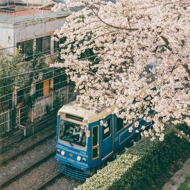 まったり更新してます/n推し活もするよ