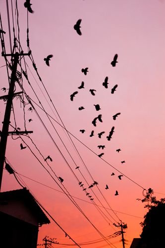 おじさん構文ですが仲良くしてください。