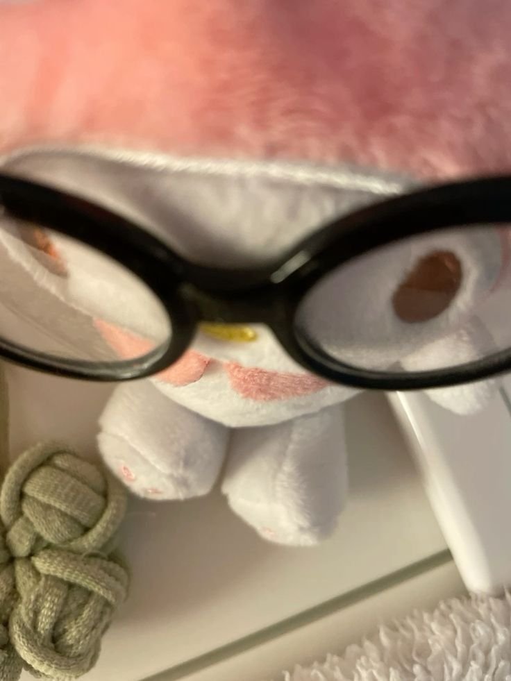 無言フォロー失礼します/n仲良くしてね