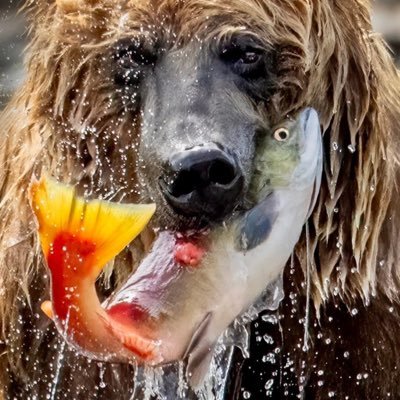 blunt_dc's profile picture. I am blunt