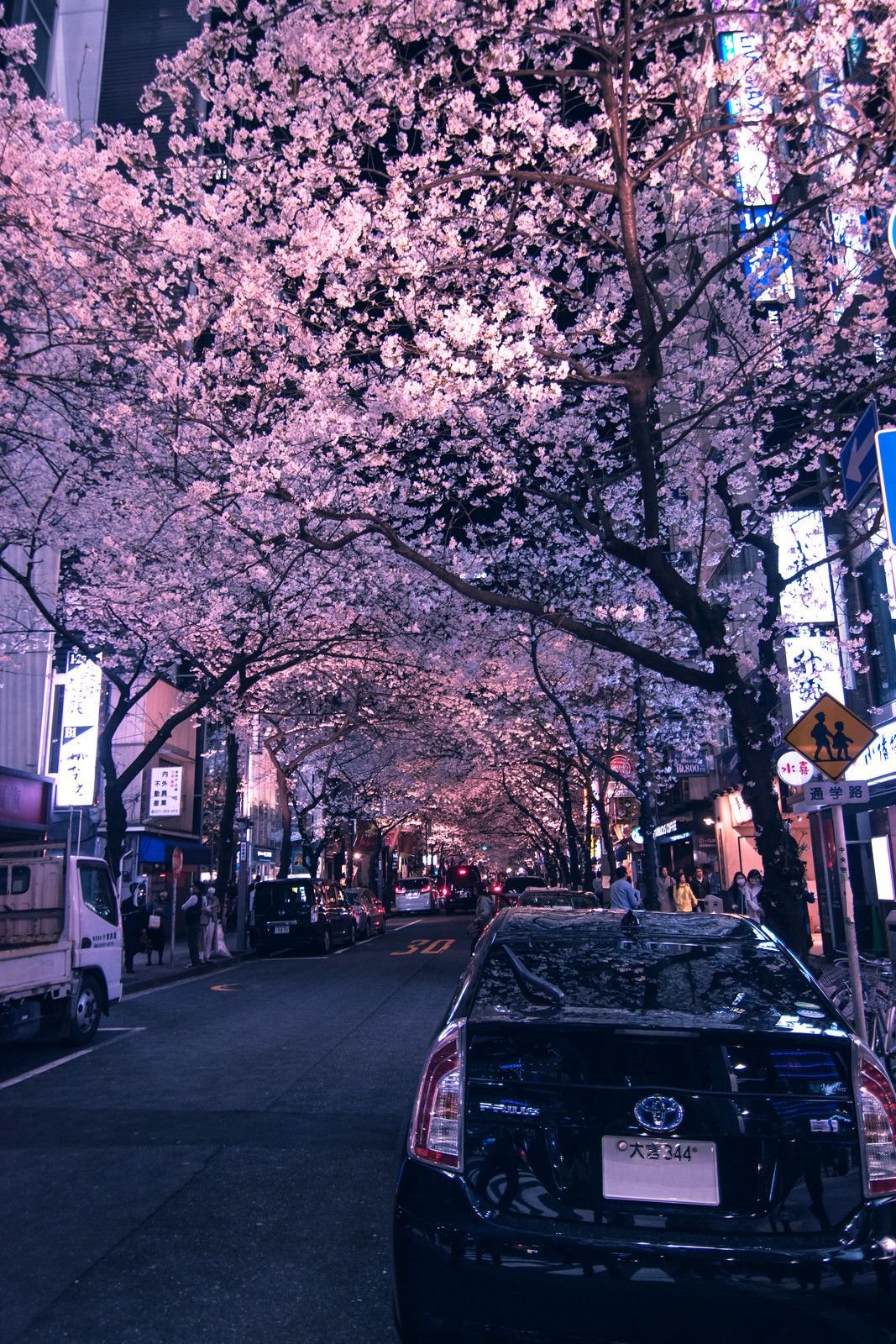 日常と推しのことつぶやきます💖