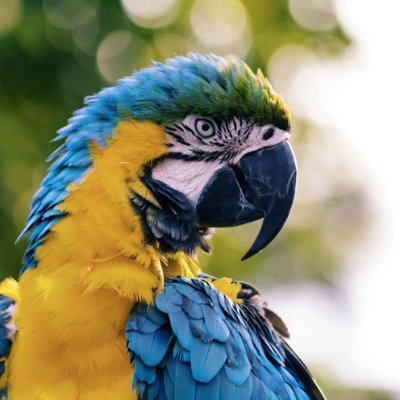 EmonkhaD5580's profile picture. 