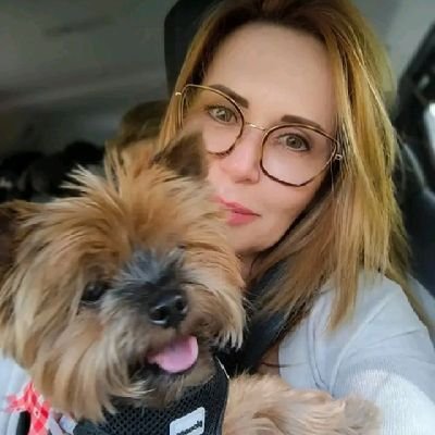 romineiman's profile picture. מה יפה יותר מאשר ציפור חופשייה המתעופפת אל עבר השמש?