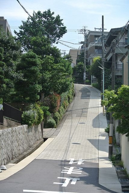 日常と趣味を記録する用です
