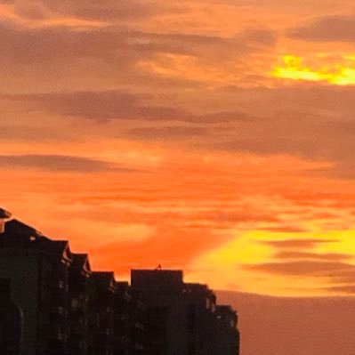 G6SO5v66aA95207's profile picture. 