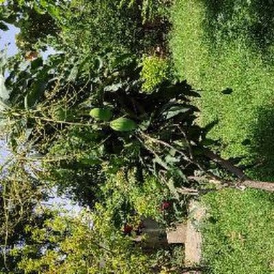 dineshdayma1986's profile picture. 