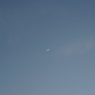 viwhirlwind's profile picture. 30 | Dream big, dear readers, wherever you are.