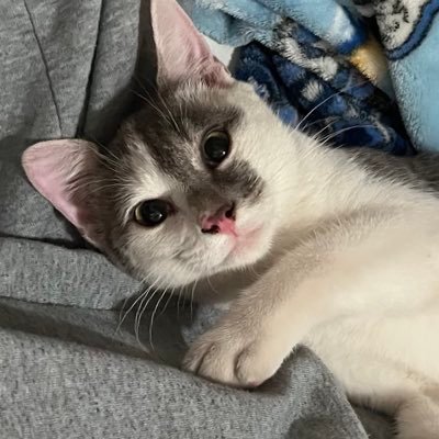 v4mp_gir1's profile picture. im dead and i dont care if its cold outside anymore