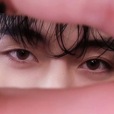 arumdauun's profile picture. Allx🐻's ⛵