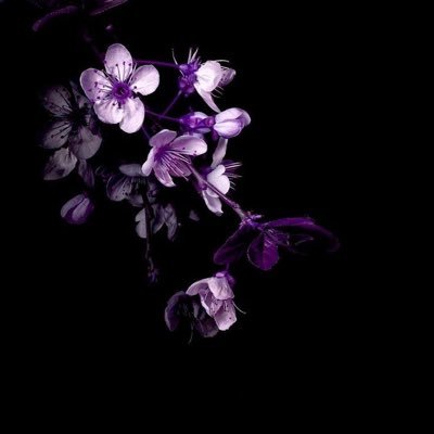 Qgainyonz's profile picture. 21