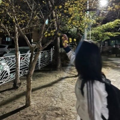 foxk037963's profile picture. 