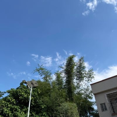 Samuel58268599's profile picture. 