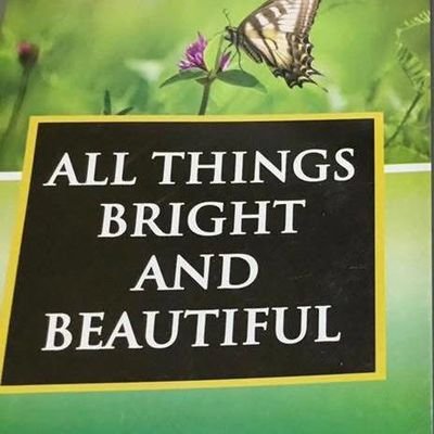 AsareGyampoh's profile picture. Everything that makes life progressively meaningful