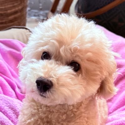 shinotime8's profile picture. timelesz  篠塚大輝くんに日々幸せをもらってます🤍 8人のわちゃわちゃ＆パフォーマンスが大好き！