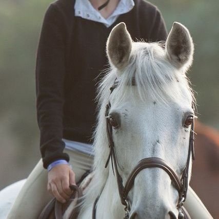 tarnad8's profile picture. 