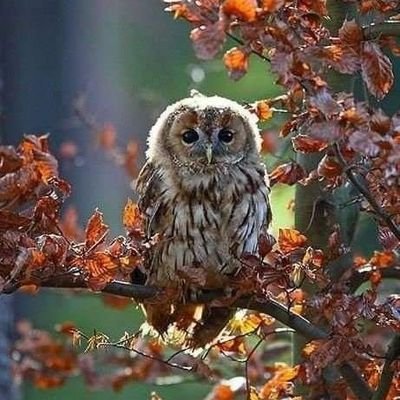 lidia_bonus's profile picture. "Wybitne umysły zawsze napotykają na gwałtowny sprzeciw ze strony tych przeciętnych."

Albert Einstein