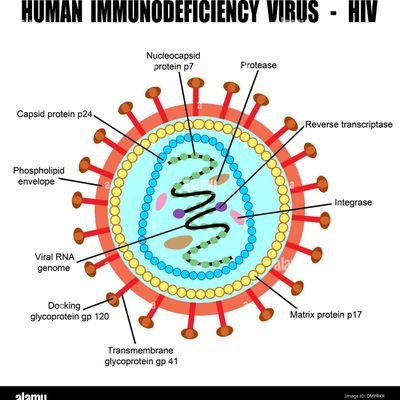 urdaretardnotme's profile picture. Is there a remote amount of intelligence in robbing someone and then making fun of them not having money?
pablo got cheques