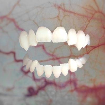 dental_canine's profile picture. bodily 20 ( he | it ) gayroace. himbo. monster. switch.