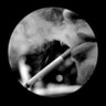 S_ha511's profile picture. 