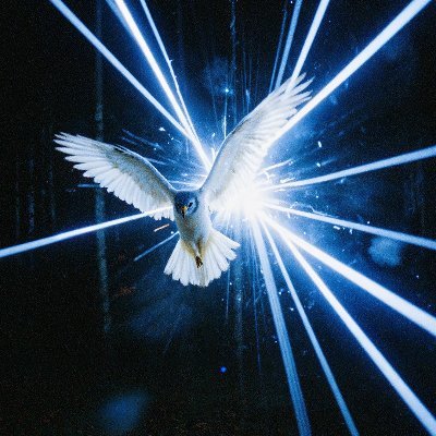 Mete Yafetさんのプロフィール画像