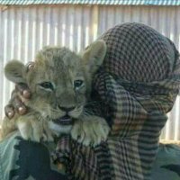 Ferman Nazif (@fermannazif) Twitter profile photo