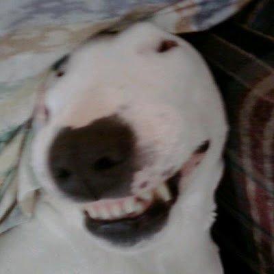 SeaMikki8050's profile picture. 