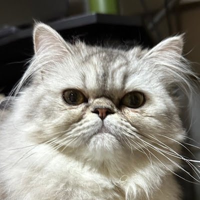 UMIcyan0115's profile picture. 
