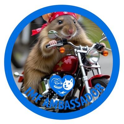 smithlungs22811's profile picture. 