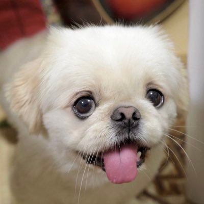 TAALOWR's profile picture. 