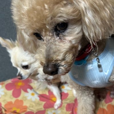 aaaaaaaaiueoo_'s profile picture. 身内ノリ擦りまくり集団