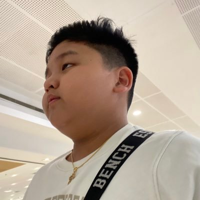 MikhailQui96705's profile picture. Fan Of Many Fandoms Loves Loves Coryxken always watches on weekdays when bored and also IM TIRED OF SCHOOL HERE Im Filipino Btw