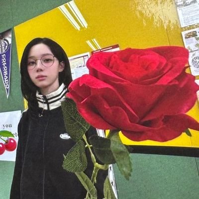 swcetiepies's profile picture. 