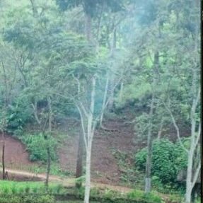 victory17722's profile picture. 