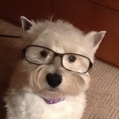 neung_nut9's profile picture. #정우 #재민