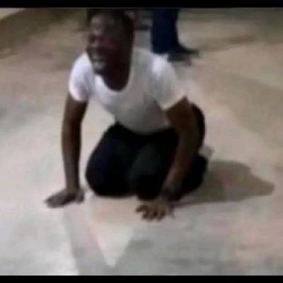 chipewa6's profile picture. Minds
I don't know what is happening but I feel nothing