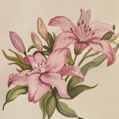 AyaAlna248847's profile picture. #IAU #CCSIT226