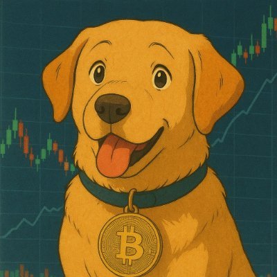 Pirate__BTC's profile picture.