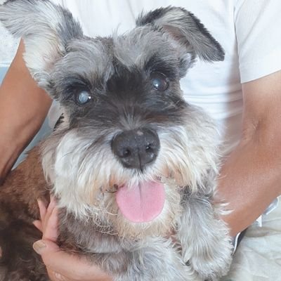 heaventhanks's profile picture. エステ好き🥰気軽に呟きます☆