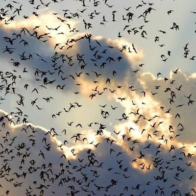 MOUNAMIMII13's profile picture. 