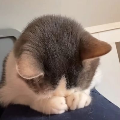 retardhumann's profile picture. i choose violence