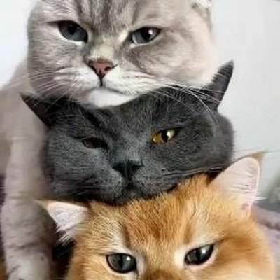 xanxan_719's profile picture. 