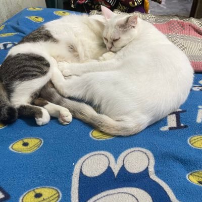 Cearius27's profile picture. 