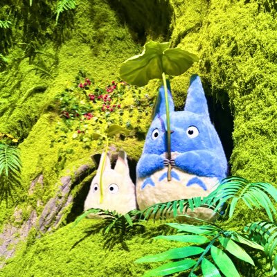 howlsroom_168's profile picture. 成人済 ￤ジブリ垢💫￤色んなヲタク￤無言フォロー失礼いたします🌱