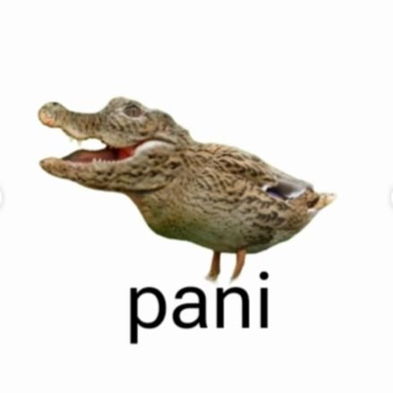⸮pani???さんのプロフィール画像