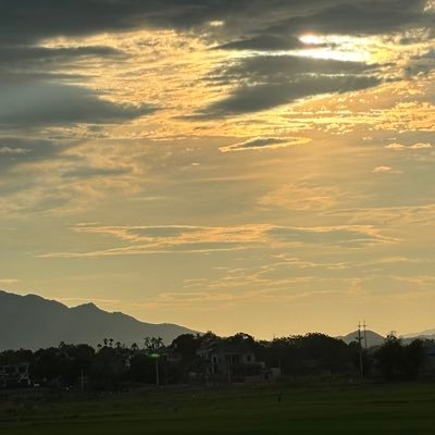 tnguu07's profile picture. 