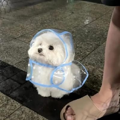 matchaaberryyyy's profile picture. Laugh, Live, Love Arga