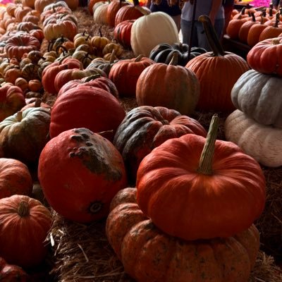 ItsJustNutsss's profile picture. “Sunlight is the best disinfectant” Judge Louis D. Brandeis.