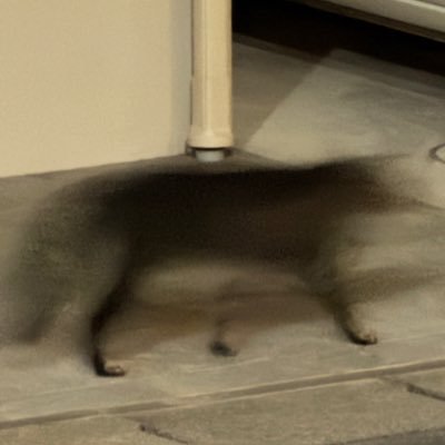 akaneroeee's profile picture. 毎日＝everyday たまにロンツー